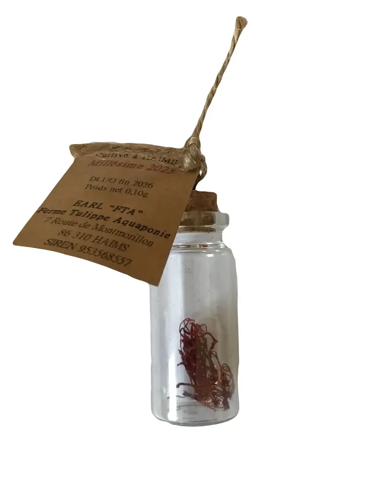 Tube Safran en pistil - 0,10g